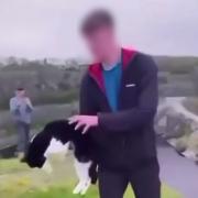 A screenshot from the video where a boy is holding a cat, shortly before throwing it from a cliff