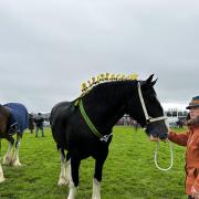 The Royal Lancashire Agricultural Show 2023 was a hit once again despite the weather doing its best to dampen spirits