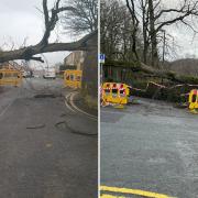 Oak Lane in Accrington has been blocked due to a fallen tree