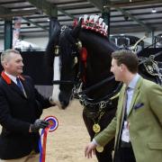 Horseman John accepting the winning rosette