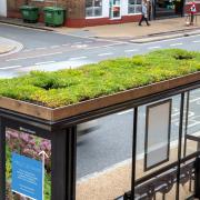 Five bus shelters in Chorley will have 'living roofs' installed