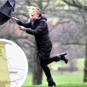 Weather warning issued for wind