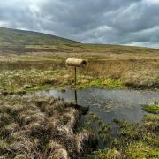 The duck tubes have been installed on the moors
