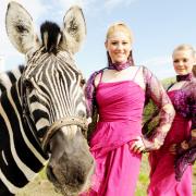 Madalane and Cinzia Timmis of Circus Mondao with Sinbad the Zebra
