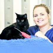 Veterinary nurse Sarah Cairns with Susie the cat