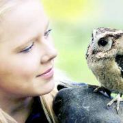 Emily Holt with Fergus the Indian collared skops owl
