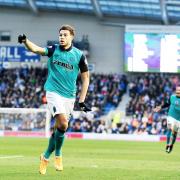 Rovers striker Rudy Gestede celebrates after his goal against Brighton