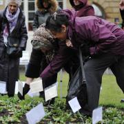 The ‘Let Us Remember’ event held in Corporation Park, Blackburn, is among the finalists for this year’s North West Fusion Community Cohesion Award. Pictured is Madhubala Pandya helping Rennie Black. Madhubala plants for her parents.