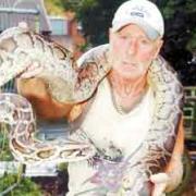 Blackburn gardener finds 17-foot snake slithering through allotment
