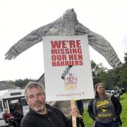 Nick Burton from Clitheroe supporting the Hen Harrier Day at Dunsop Bridge