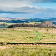 Peatlands in the Forest of Bowland AONB will be restored