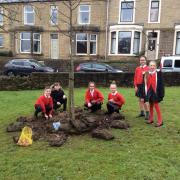 Year four pupils of St Peters School in Simonstone planted bulbs to mark 100th anniversary of RAF