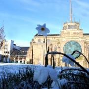 A layer of snow sits pretty on the daffodil grassy bank by Blackburn Cathedral