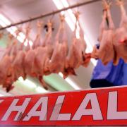 Halal meat