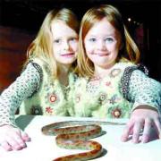 EAGLE-EYED: Maisie and Tilly Holden with the corn snake which Maisie, seven, spotted in a wall in Belthorn