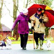WALKIES: Dog-lovers take their pets for a stroll through Roe Lee Park, the venue shortlisted for national recognition