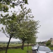 Blacksnape Road in Darwen was blocked by several cars after the car park at Blacksnape playfields overflowed due to a football tournament, Residentrs have been angered by the selfish parking