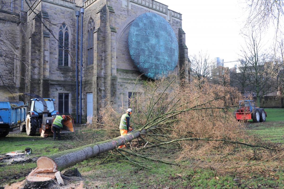 Tree collapse wreaks havoc at Blackburn Cathedral