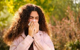 What symptoms of hay fever do you suffer from in spring and summer?