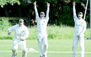 Cherry Tree players celebrate taking a wicket