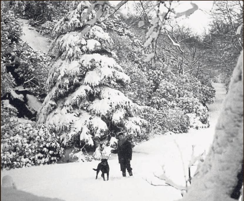 BEAUTY: Snow in Corporation Park, Blackburn, January 1970