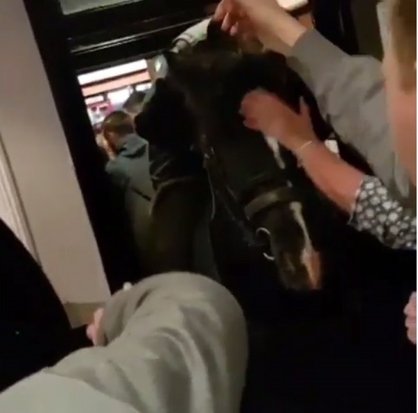 'I can’t quite believe it’s gone viral' - Burnley pub manager reacts to bizarre horse celebrations