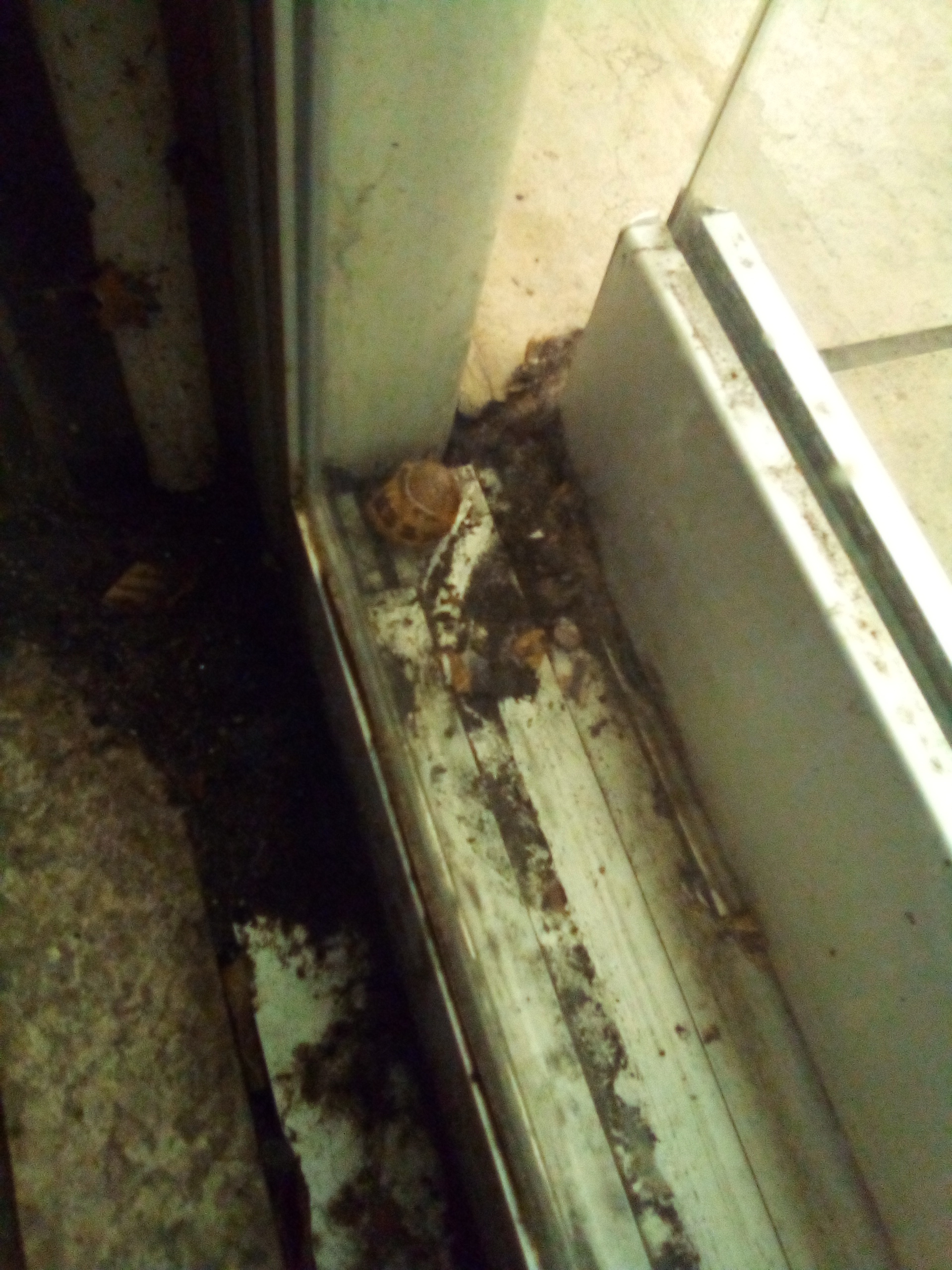 The concerned bus user thinks the mess at Blackburn bus station is unacceptable and needs to be cleaned 