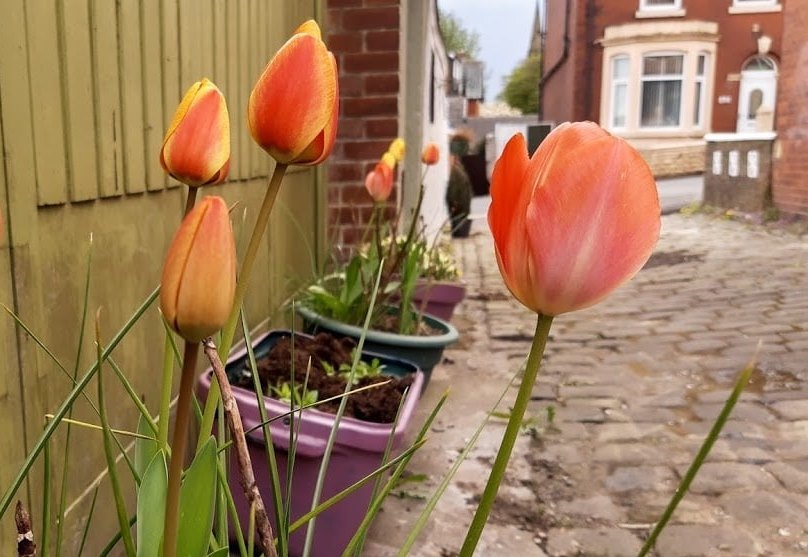 Residents are sprucing up their back alleys in Blackburn and Darwen. Pic: Cath Ford 