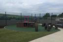Bleakholt Animal Sanctuary has some new play pens for dogs