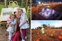 Stuck for October half term ideas? Here are 10 nearby places to take the kids
