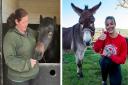 (Left to right) Sheila with Bracken and President Gemma Atkinson with a donkey