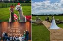 Harry Potter to Game of Thrones: Venue bringing couples fantasy weddings to life