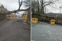 Oak Lane in Accrington has been blocked due to a fallen tree