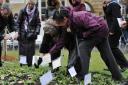 The ‘Let Us Remember’ event held in Corporation Park, Blackburn, is among the finalists for this year’s North West Fusion Community Cohesion Award. Pictured is Madhubala Pandya helping Rennie Black. Madhubala plants for her parents.