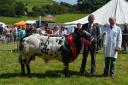 Todmorden Agricultural Show returns to Clivger this year. It will be the 87th annual show held by Todmorden Agricultural Society (pictured: champion bull)