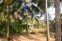 The farm in Trivandrum
