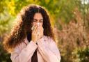 Abbas Kanani, pharmacist of Chemist Click, has broken down what hay fever is, the symptoms to look for, how to treat and prevent it in the first place.