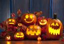 Families can pick and carve their own pumpkins at Mill Hill Community Centre.