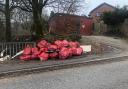 Deborah collected 25 bags of rubbish from the site - and there is still more rubbish there