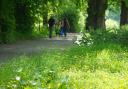 relief: Summertime here at last