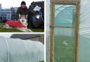 Wayne Dixon wants to help a Darwen primary school after their polytunnel was damaged