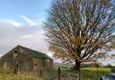 The  Sycamore Tree at Oak Trees Barn in Turton