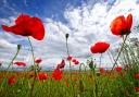 Remembrance Day is on Sunday November 14 this year (Canva)