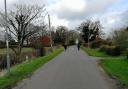 Dog Walkers On Bee Lane