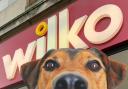 Wilko customers threaten boycott over controversial pet rule affecting UK stores. (PA/Canva)