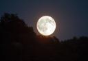See the Snow Moon. (Canva)