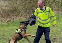 Lancashire's Police and Crime Commissioner, Andrew Snowden, bitten by police dogs in training exercise