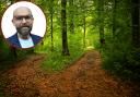 Inset: Martin Furber provides a weekly column on mental health and well-being | Main: A woodland scene (Credit - Canva)