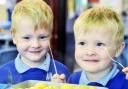 TUCKING IN: Twins James and Christopher Broome from Whalley Primary School