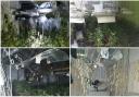 Photos of the cannabis farm discovered in Leyland